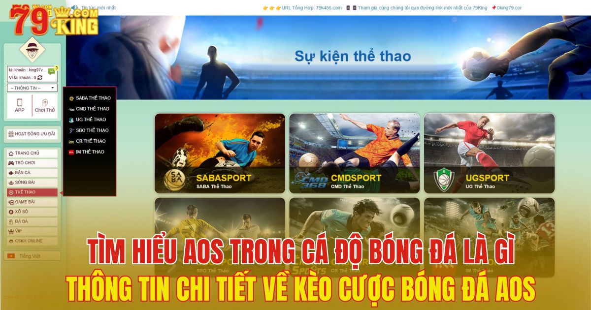 aos trong cá độ bóng đá là gì