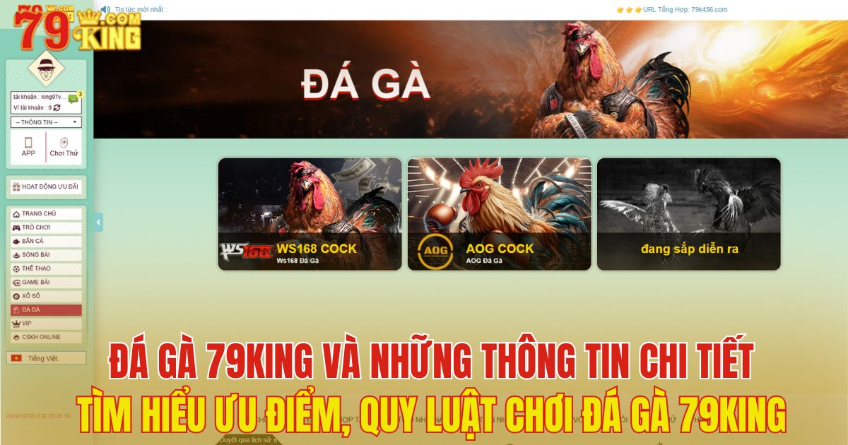 đá gà 79King