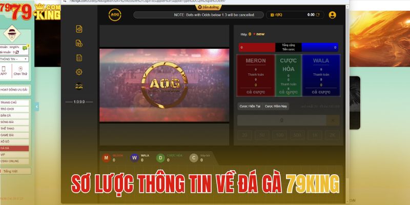 Giới thiệu sơ lược thông tin đá gà 79King