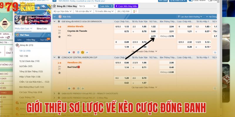 Giới thiệu sơ lược về kèo cược đồng banh 