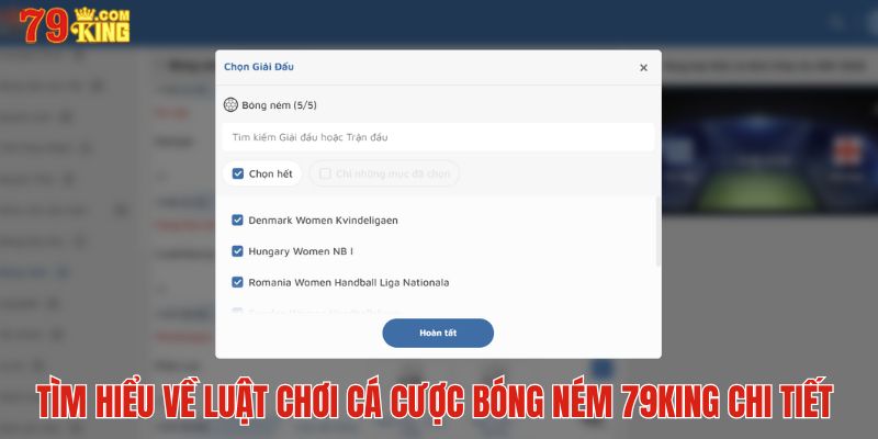 Tìm hiểu về luật chơi cá cược bóng ném chi tiết nhất